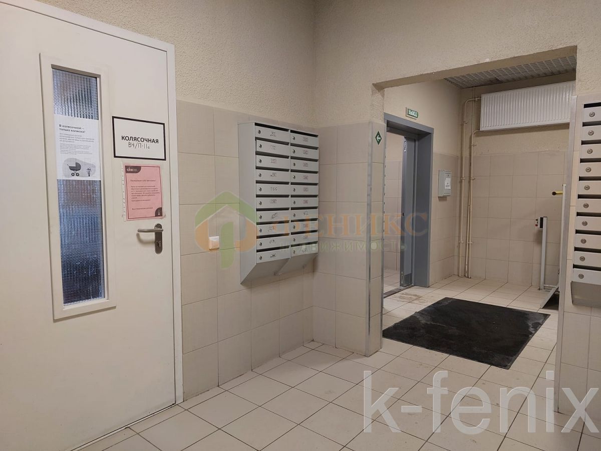 квартира 65 метров